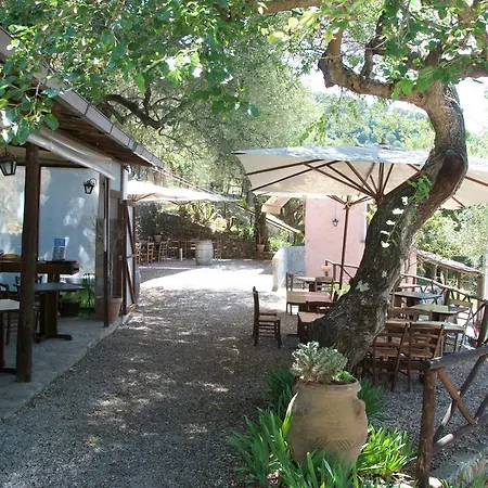 Santo Mercurio