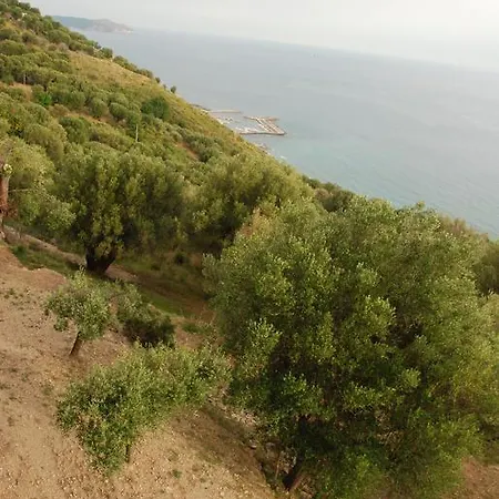 Santo Mercurio Pisciotta