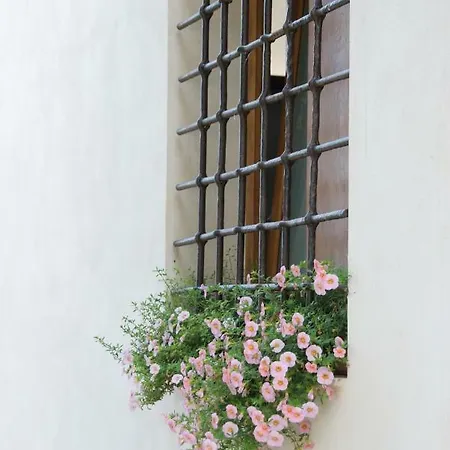Country house Santo Mercurio Pisciotta